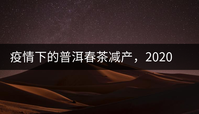 疫情下的普洱春茶減產(chǎn)，2020年價(jià)格“兩極分化”或成常態(tài)？