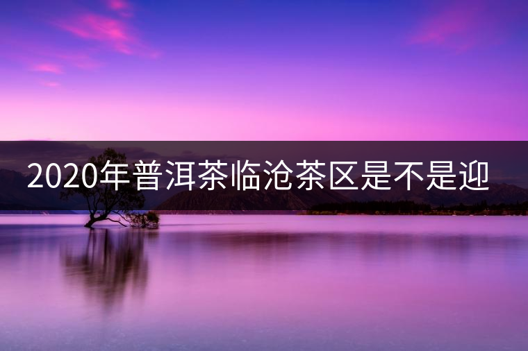 2020年普洱茶臨滄茶區(qū)是不是迎來最好機遇？