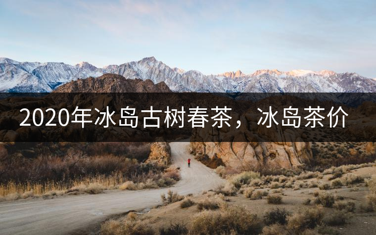 2020年冰島古樹(shù)春茶，冰島茶價(jià)格貴在哪里？