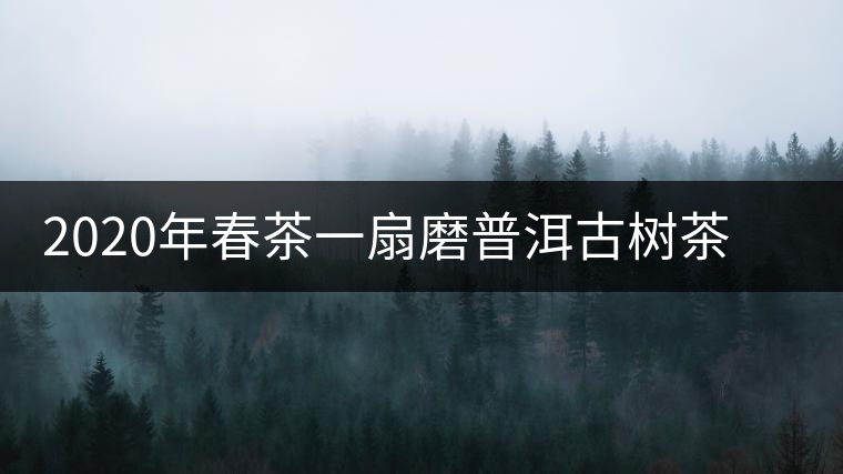 2020年春茶一扇磨普洱古樹茶價(jià)格是多少錢一斤 2020年春茶一扇磨普洱古樹茶價(jià)格是多少錢一斤