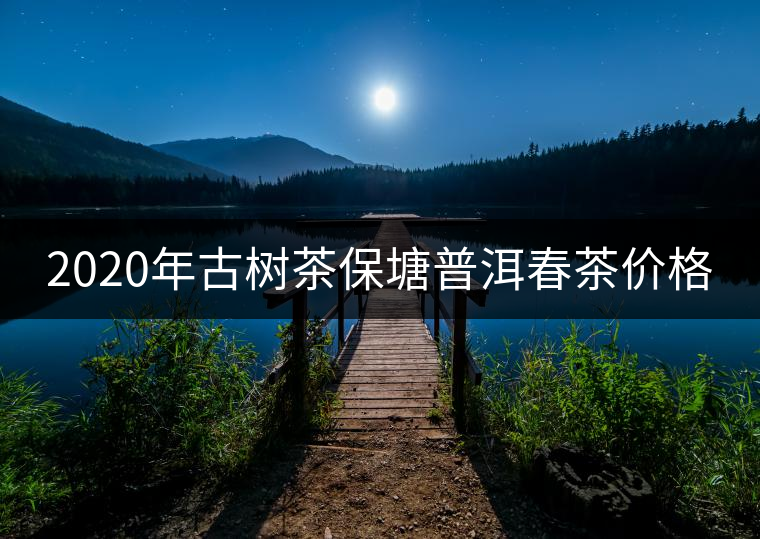 2020年古樹(shù)茶保塘普洱春茶價(jià)格