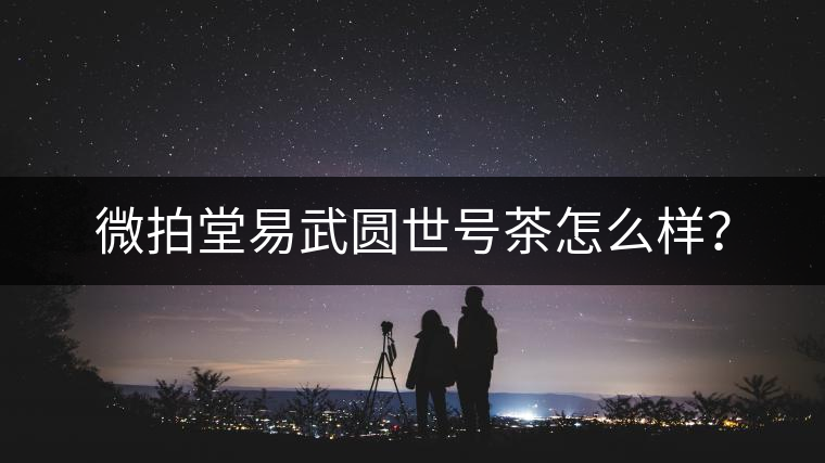 微拍堂易武圓世號茶怎么樣？