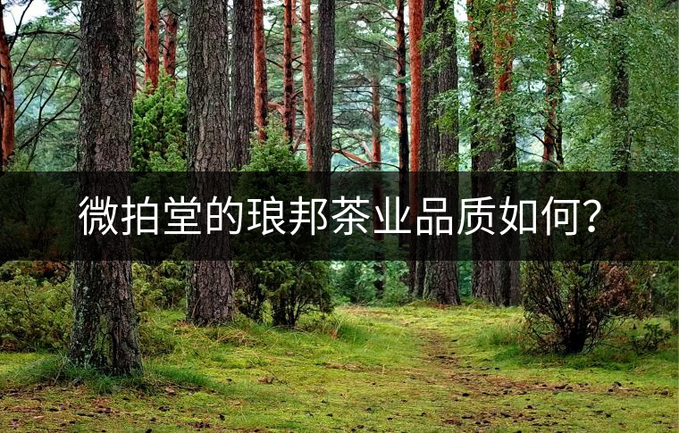 微拍堂的瑯邦茶業(yè)品質(zhì)如何？