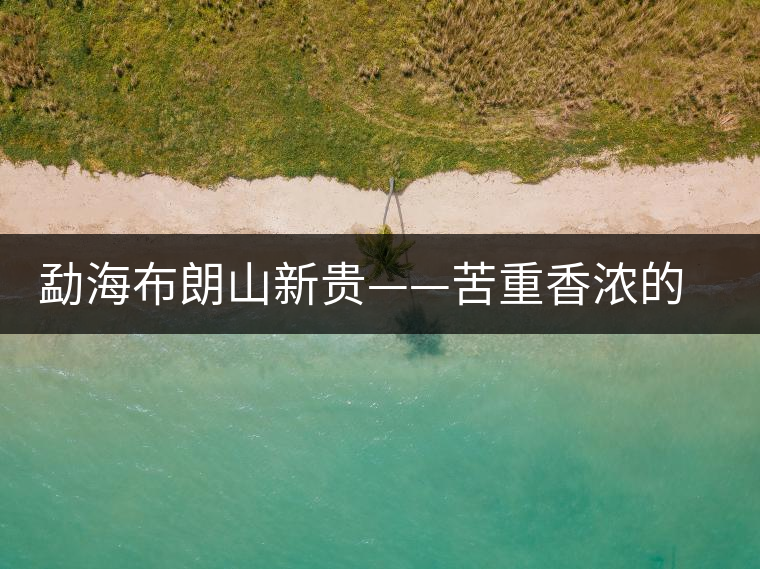 勐海布朗山新貴——苦重香濃的曼新龍