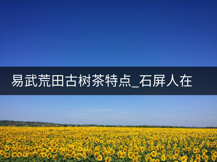 易武荒田古樹茶特點(diǎn)_石屏人在荒田以茶為生