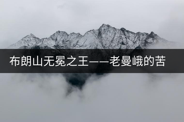 布朗山無(wú)冕之王——老曼峨的苦與甜