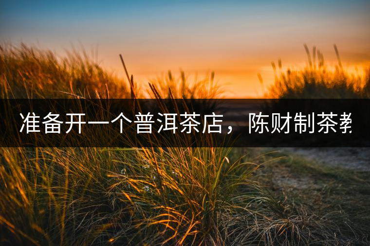 準(zhǔn)備開一個普洱茶店，陳財(cái)制茶教你怎么做！