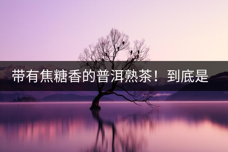 帶有焦糖香的普洱熟茶！到底是好是壞？