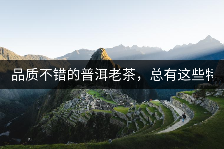品質(zhì)不錯(cuò)的普洱老茶，總有這些特點(diǎn)！