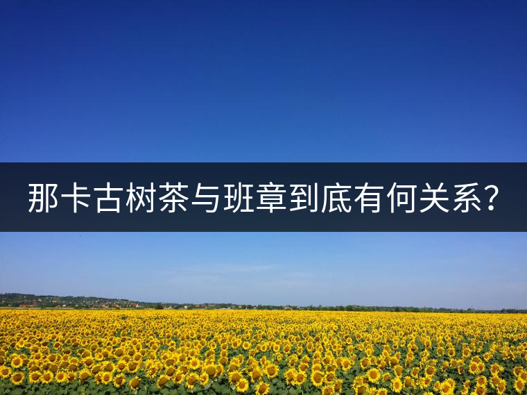 那卡古樹茶與班章到底有何關系？