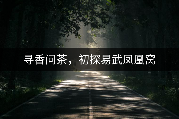 尋香問茶，初探易武鳳凰窩