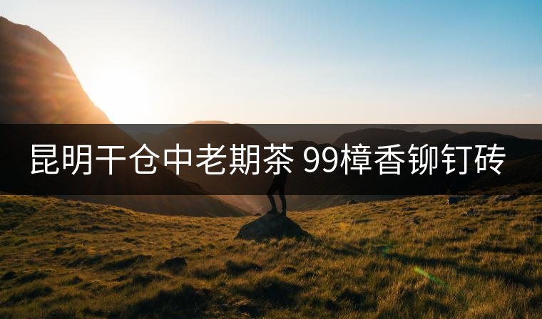 昆明干倉中老期茶 99樟香鉚釘磚 致敬時光的力量