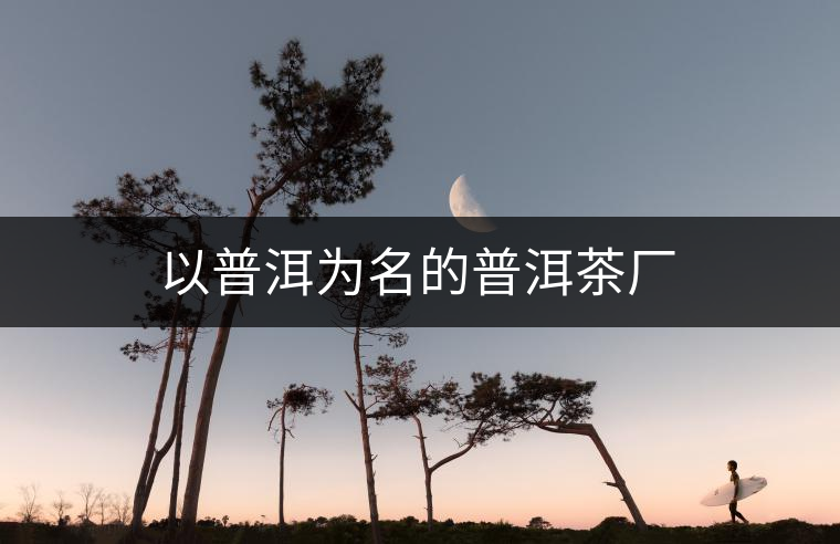 以普洱為名的普洱茶廠