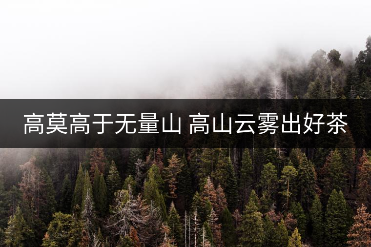 高莫高于無(wú)量山 高山云霧出好茶 高莫高于無(wú)量山 高山云霧出好茶