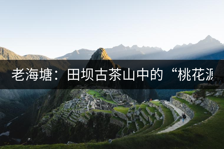 老海塘:田壩古茶山中的“桃花源” 老海塘:田壩古茶山中的“桃花源”