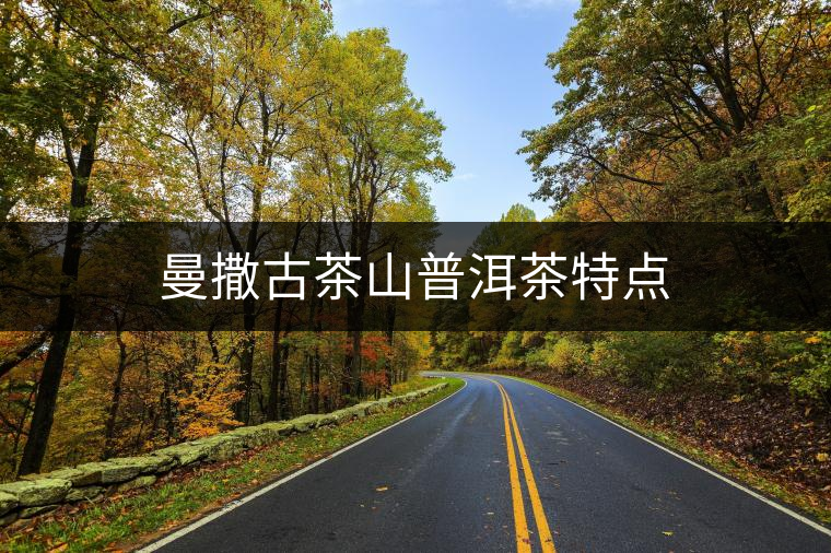 曼撒古茶山普洱茶特點(diǎn)