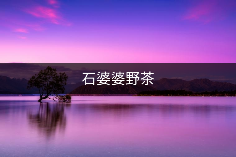 石婆婆野茶 石婆婆野茶