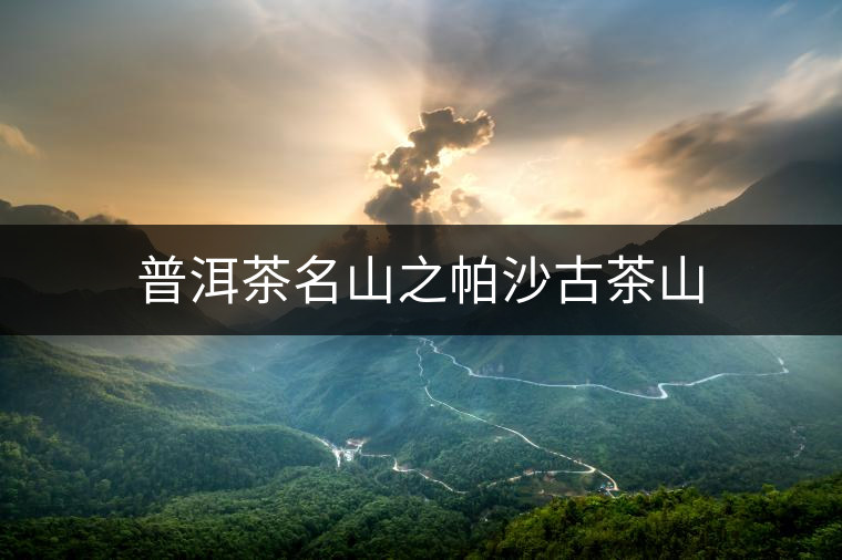 普洱茶名山之帕沙古茶山 普洱茶名山之帕沙古茶山