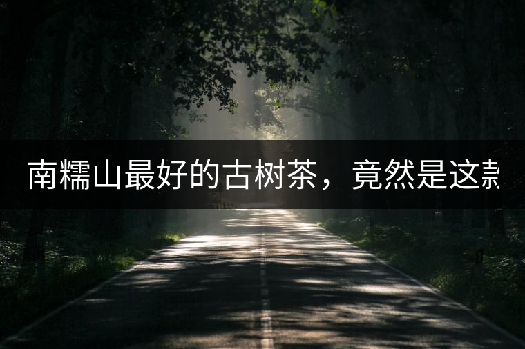 南糯山最好的古樹茶，竟然是這款！