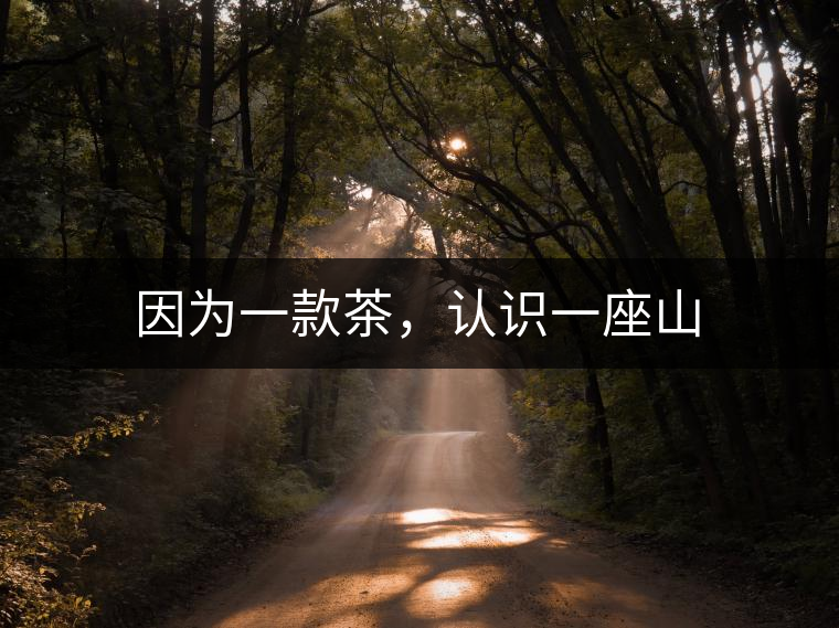 因?yàn)橐豢畈?，認(rèn)識(shí)一座山