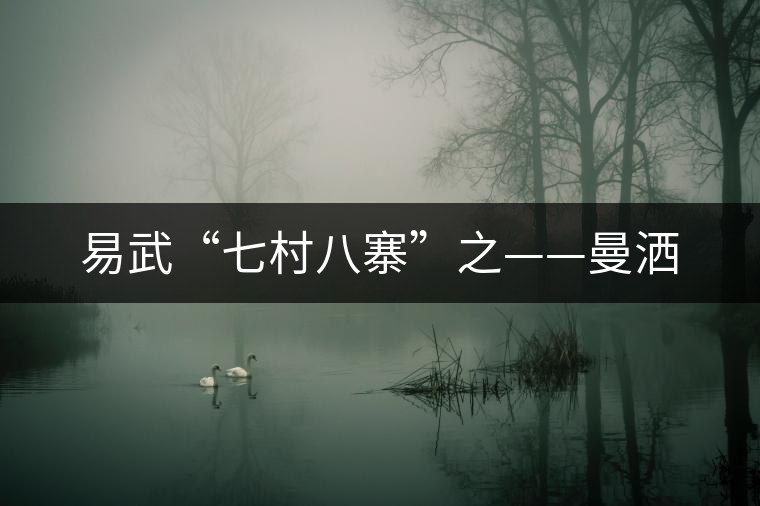 易武“七村八寨”之——曼灑