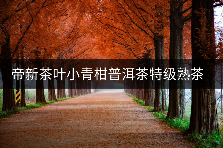 帝新茶葉小青柑普洱茶特級(jí)熟茶生曬正宗新會(huì)陳皮柑普茶桔普茶罐裝