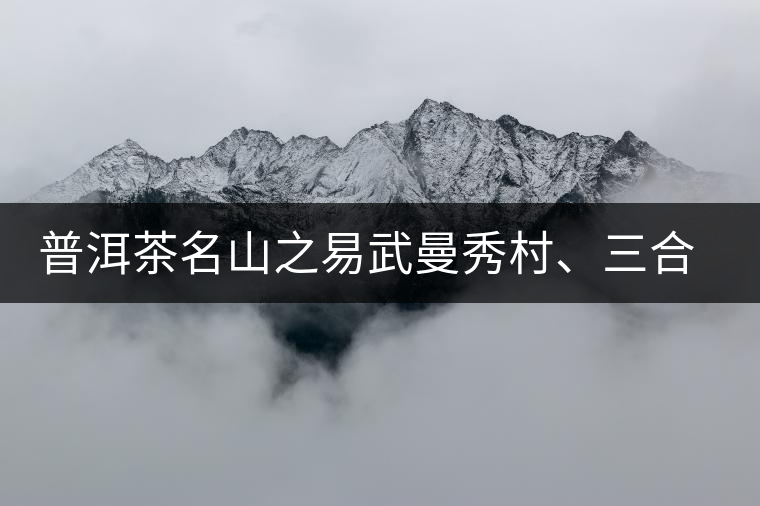普洱茶名山之易武曼秀村、三合社村