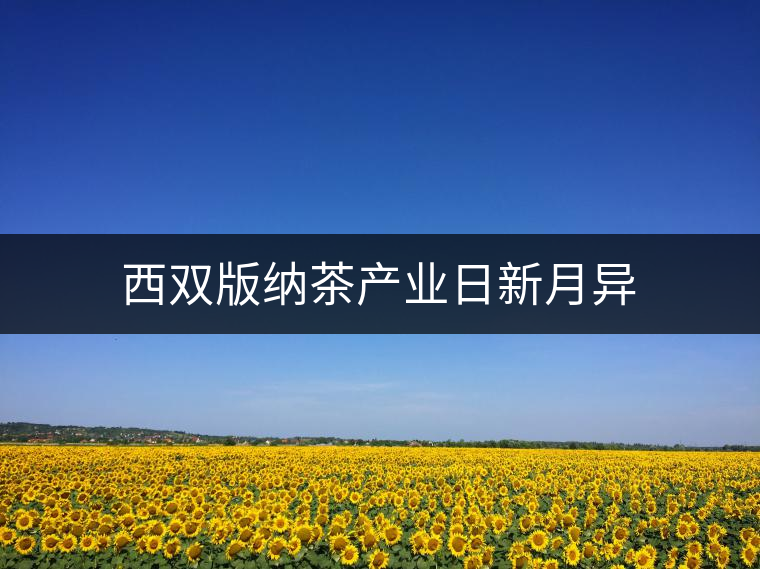 西雙版納茶產(chǎn)業(yè)日新月異 西雙版納茶產(chǎn)業(yè)日新月異