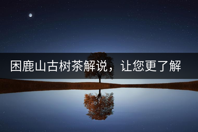 困鹿山古樹茶解說，讓您更了解古樹貢茶