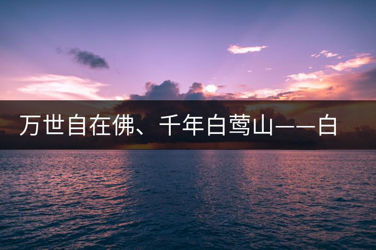 萬世自在佛、千年白鶯山——白鶯山古樹茶特點(diǎn)