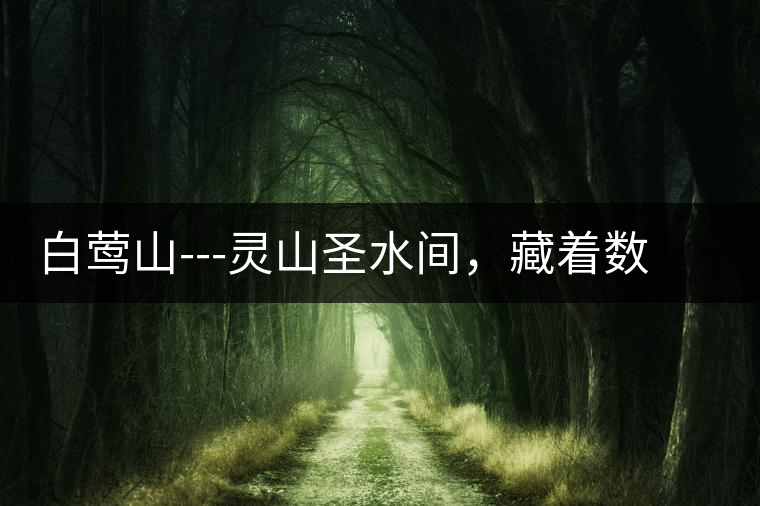 白鶯山---靈山圣水間，藏著數(shù)不盡的佛茶佳話