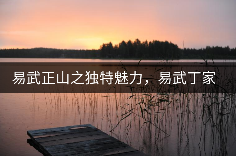 易武正山之獨(dú)特魅力，易武丁家寨介紹品鑒