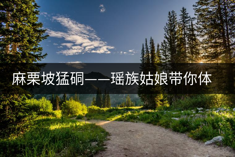 麻栗坡猛硐——瑤族姑娘帶你體驗瑤山茶園 麻栗坡猛硐——瑤族姑娘帶你體驗瑤山茶園