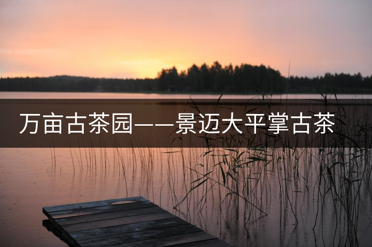 萬(wàn)畝古茶園——景邁大平掌古茶園