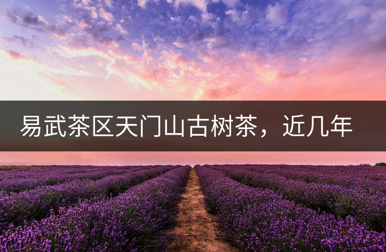 易武茶區(qū)天門(mén)山古樹(shù)茶，近幾年的熱門(mén)山頭