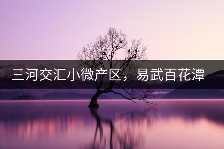 三河交匯小微產(chǎn)區(qū)，易武百花潭古茶園介紹