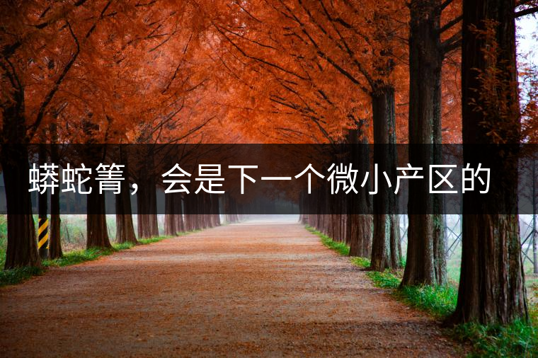 蟒蛇箐，會(huì)是下一個(gè)微小產(chǎn)區(qū)的熱門山頭嗎？