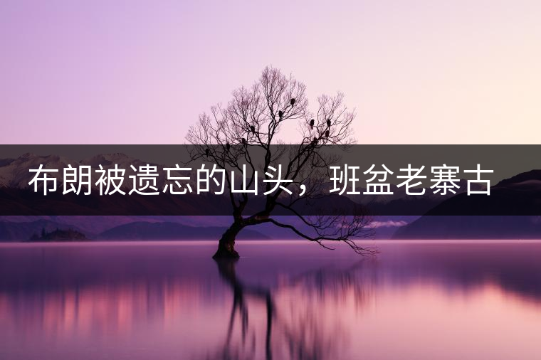 布朗被遺忘的山頭，班盆老寨古茶園介紹