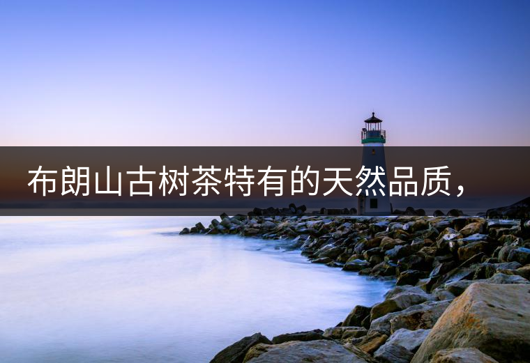 布朗山古樹茶特有的天然品質(zhì)，給健康生活保駕護航