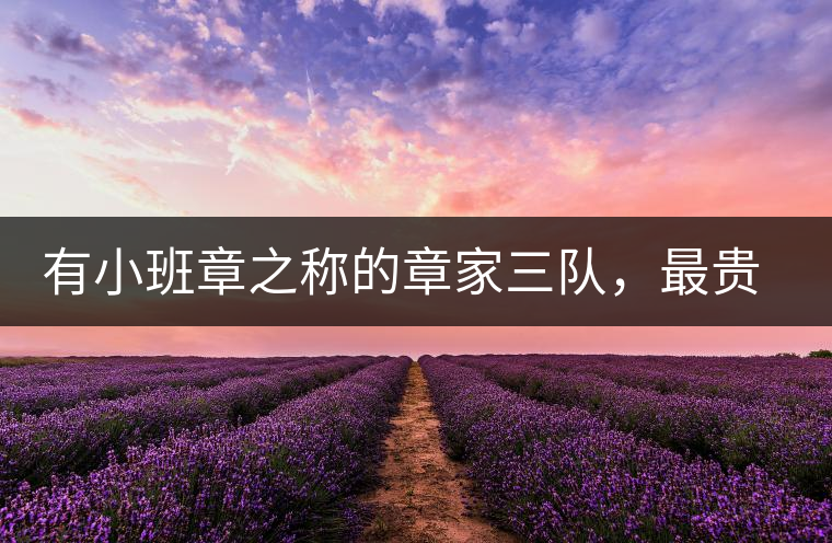 有小班章之稱的章家三隊，最貴的小樹茶