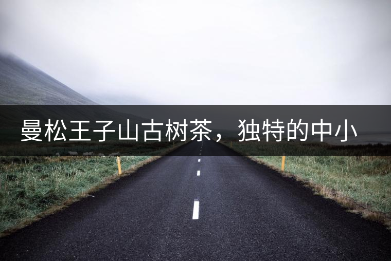 曼松王子山古樹茶，獨特的中小葉種珍品貢茶