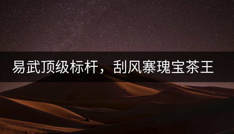 易武頂級(jí)標(biāo)桿，刮風(fēng)寨瑰寶茶王樹(shù)古樹(shù)茶