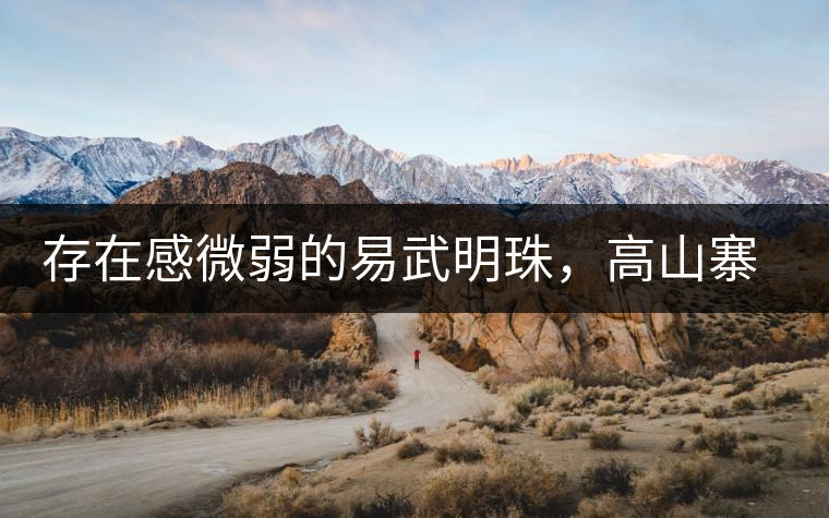 存在感微弱的易武明珠，高山寨古樹茶介紹