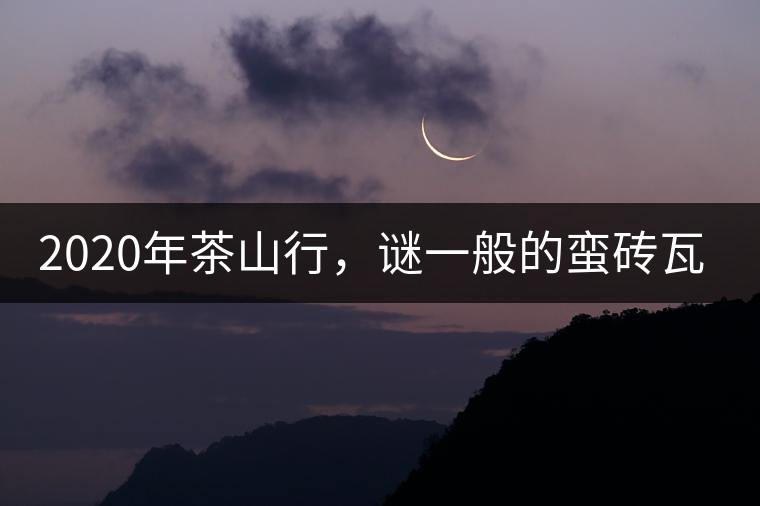 2020年茶山行，謎一般的蠻磚瓦竜古茶山