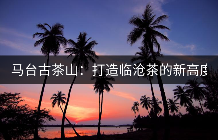 馬臺古茶山：打造臨滄茶的新高度？