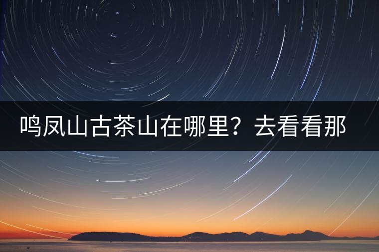 鳴鳳山古茶山在哪里？去看看那鳳凰曾經(jīng)落腳的地方