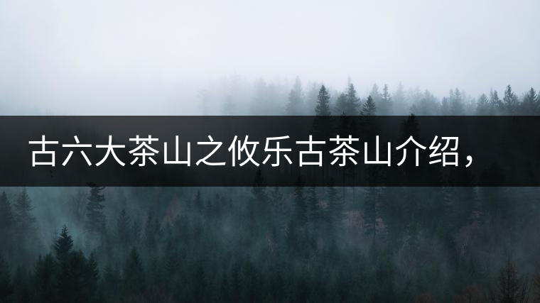 古六大茶山之攸樂古茶山介紹，攸樂古樹茶口感特點(diǎn)