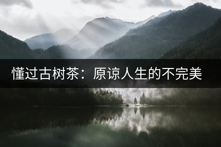 懂過古樹茶：原諒人生的不完美，多一次心靈的回歸！