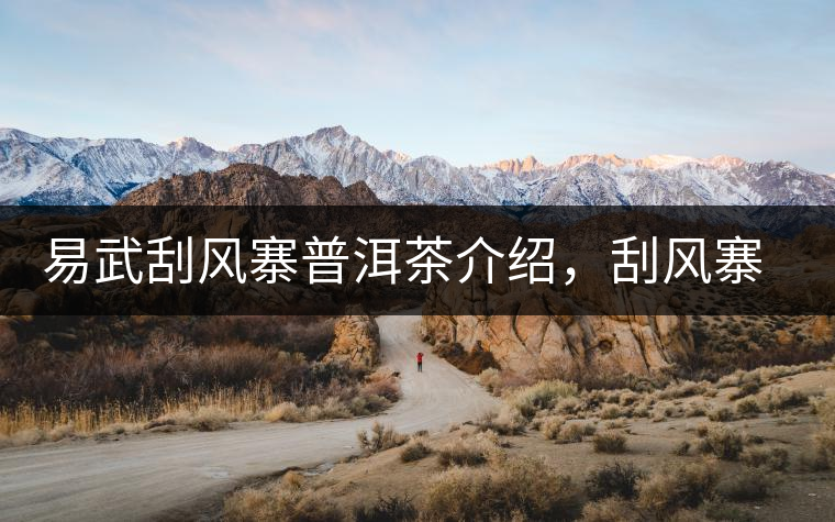 易武刮風(fēng)寨普洱茶介紹，刮風(fēng)寨古樹茶口感特點(diǎn)