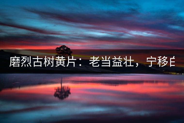 磨烈古樹黃片：老當益壯，寧移白首之心！